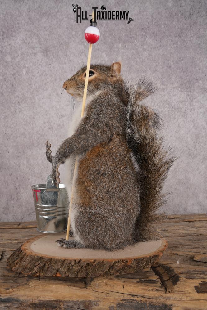 Fishing Squirrel SKU 3060 - Image 4