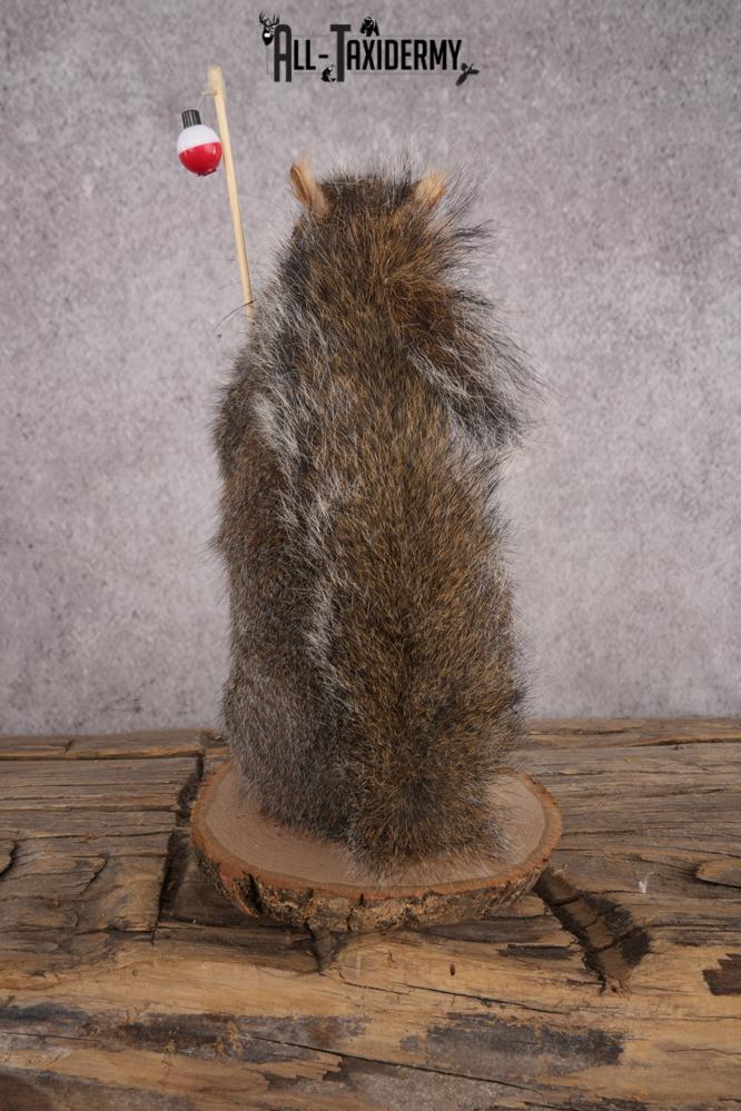 Fishing Squirrel SKU 3060 - Image 3