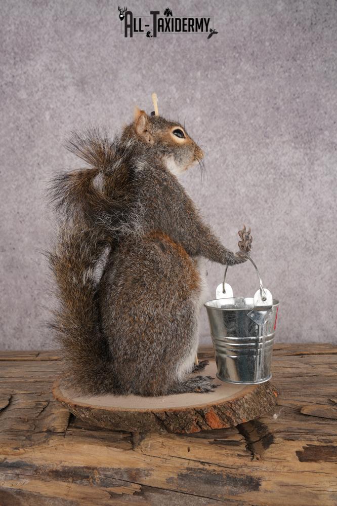 Fishing Squirrel SKU 3060 - Image 2