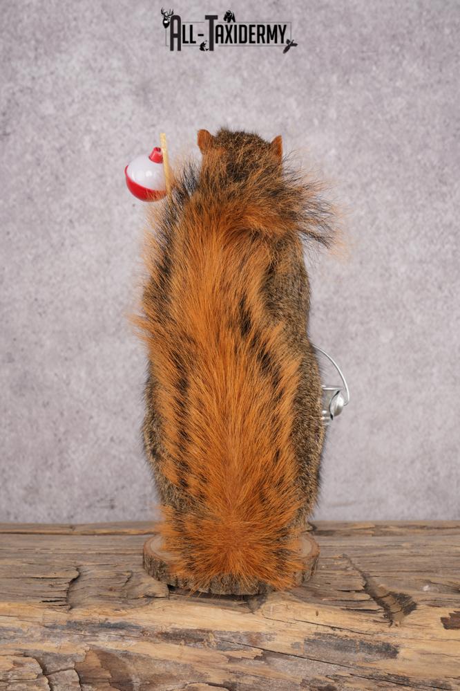 Fishing Squirrel SKU 3061 - Image 3