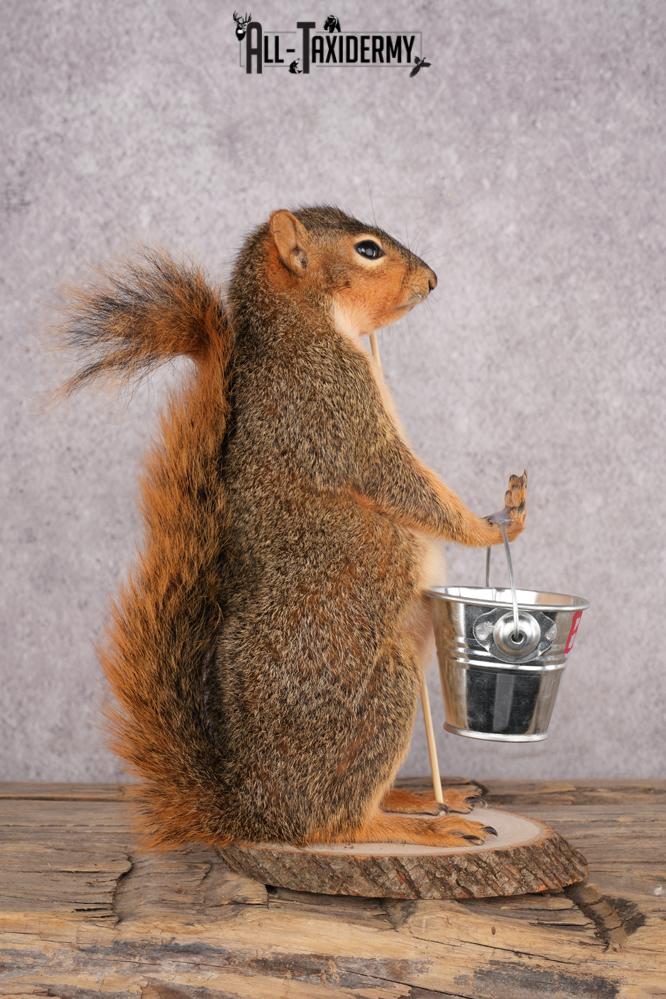 Fishing Squirrel SKU 3061 - Image 2