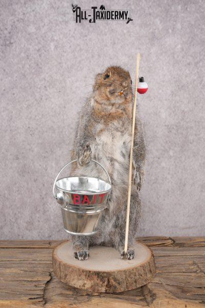 Fishing Squirrel SKU 3062