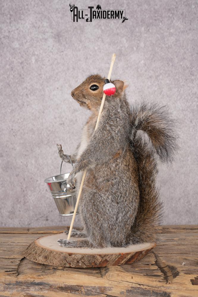 Fishing Squirrel SKU 3062 - Image 4