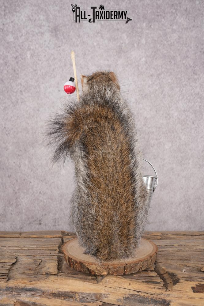 Fishing Squirrel SKU 3062 - Image 3