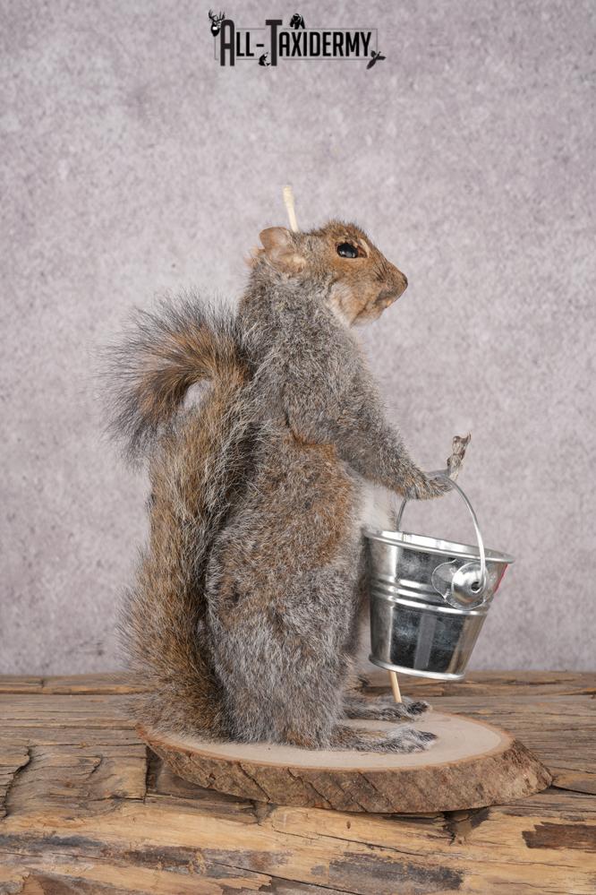 Fishing Squirrel SKU 3062 - Image 2