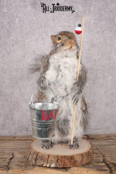 Fishing Squirrel SKU 3063