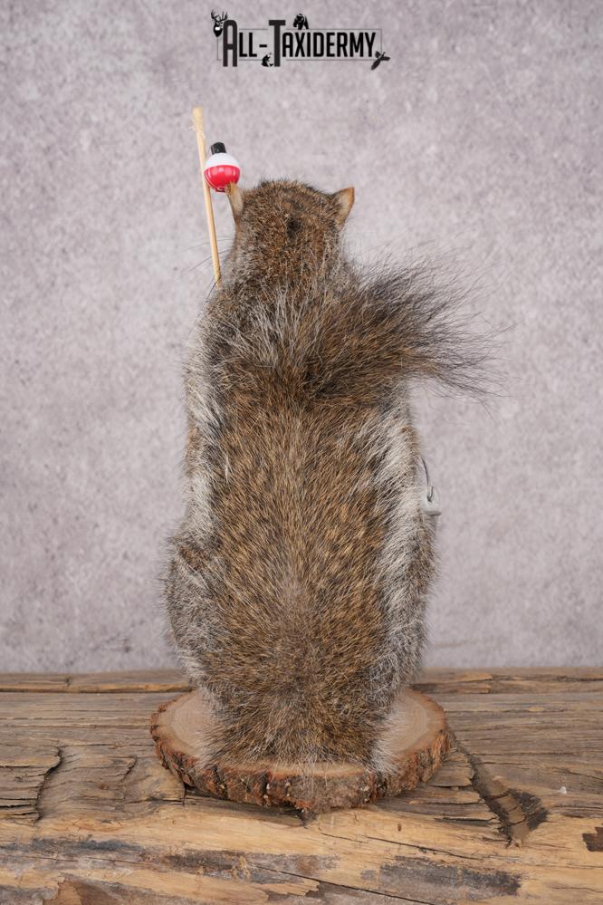 Fishing Squirrel SKU 3063 - Image 3