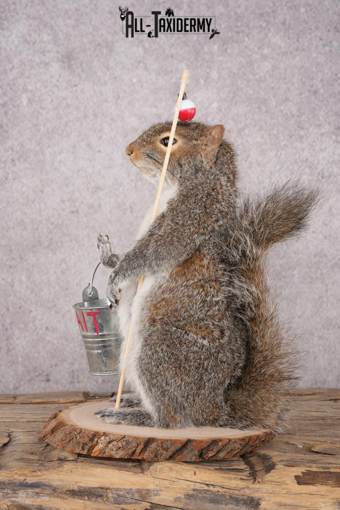 Fishing Squirrel SKU 3063 - Image 2
