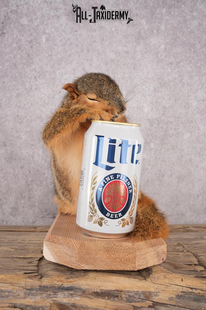 Drunk Squirrel SKU 3064 - Image 4