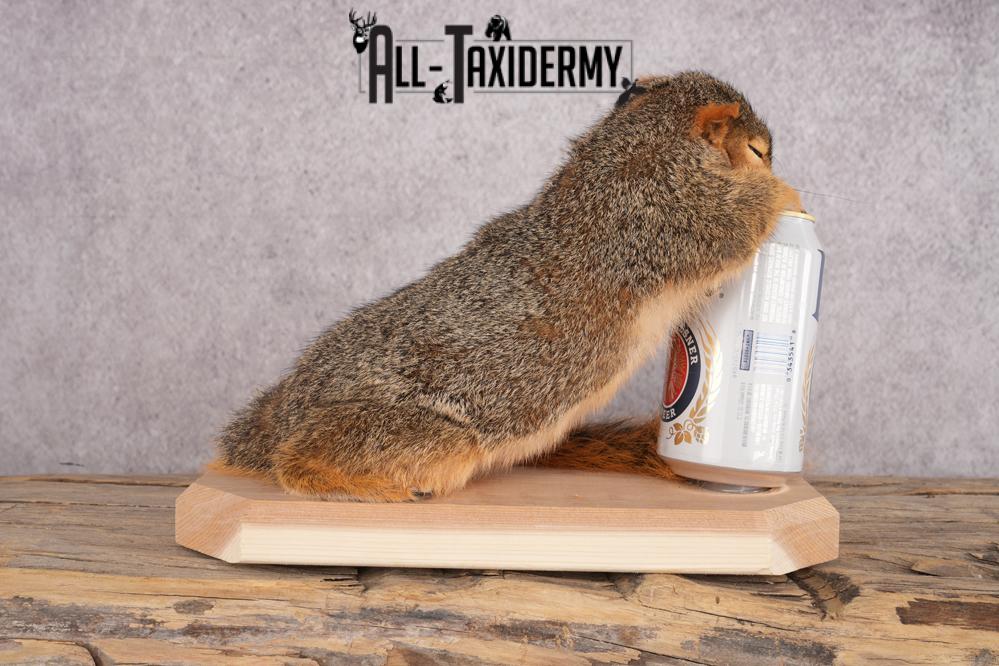 Drunk Squirrel SKU 3064 - Image 3