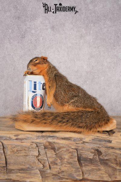 Drunk Squirrel SKU 3065
