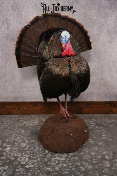 Eastern Turkey SKU 2997