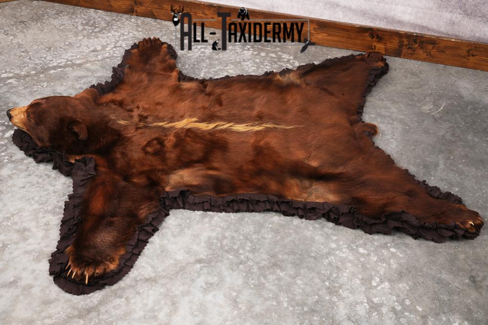 Cinnamon Black Bear Rug SKU 3161 - Image 7