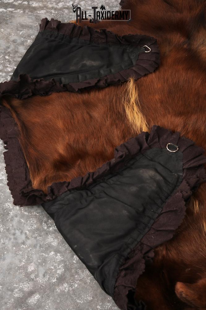 Cinnamon Black Bear Rug SKU 3161 - Image 2