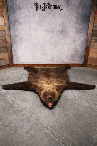 Grizzly Bear Rug