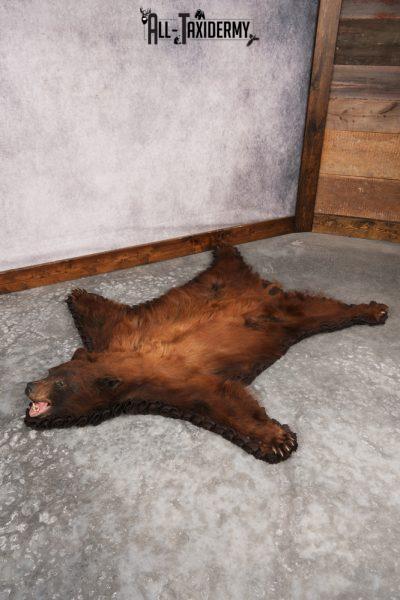 Cinnamon Black Bear Rug SKU 3175