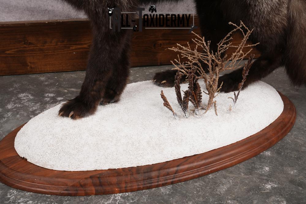 Silver Fox SKU 3184 - Image 4