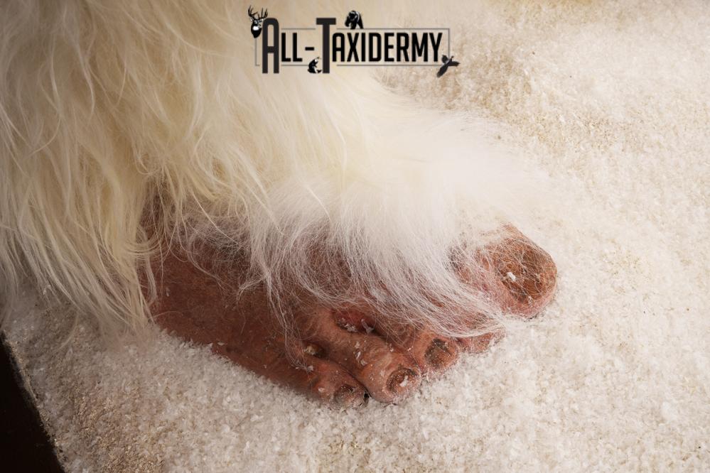 Yeti Replica SKU 3139 - Image 10