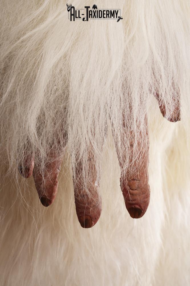 Yeti Replica SKU 3139 - Image 9