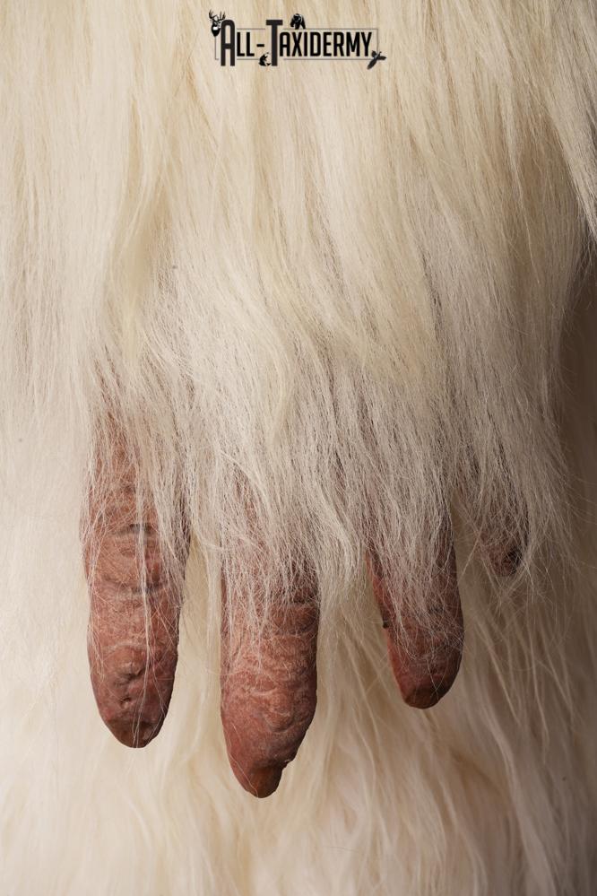 Yeti Replica SKU 3139 - Image 8