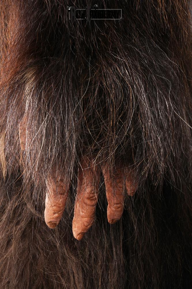 Big Foot Replica SKU 3138 - Image 5