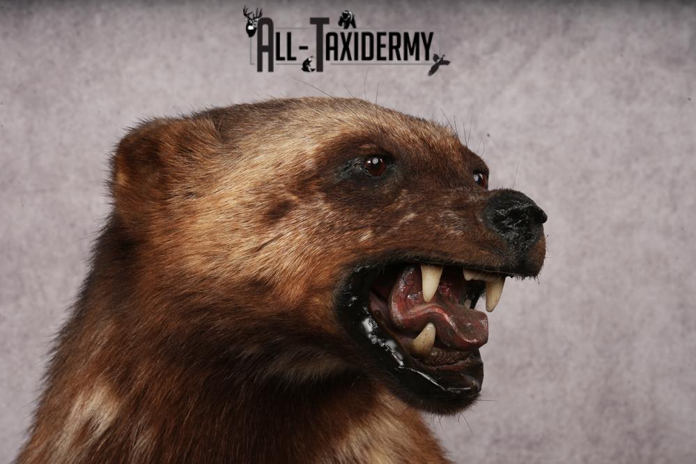 Wolverine SKU 3209 - Image 4