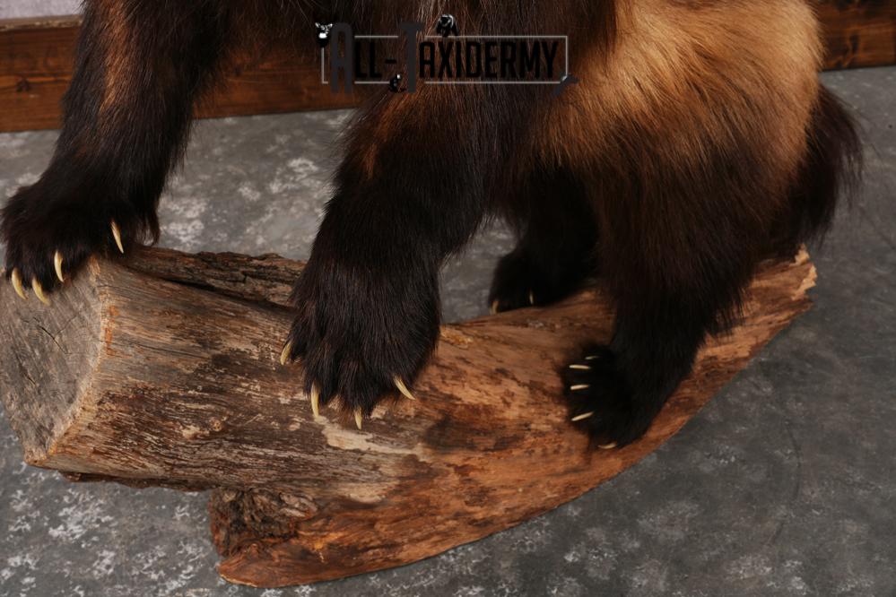 Wolverine SKU 3209 - Image 2