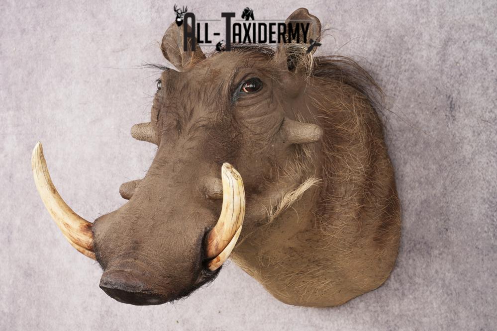 Warthog SKU 3256 - Image 10