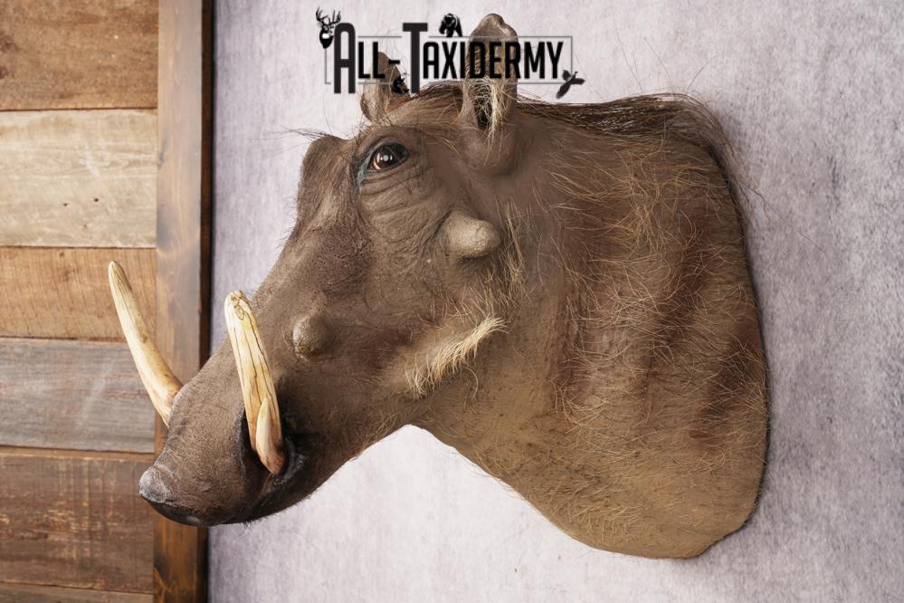 Warthog SKU 3256 - Image 9