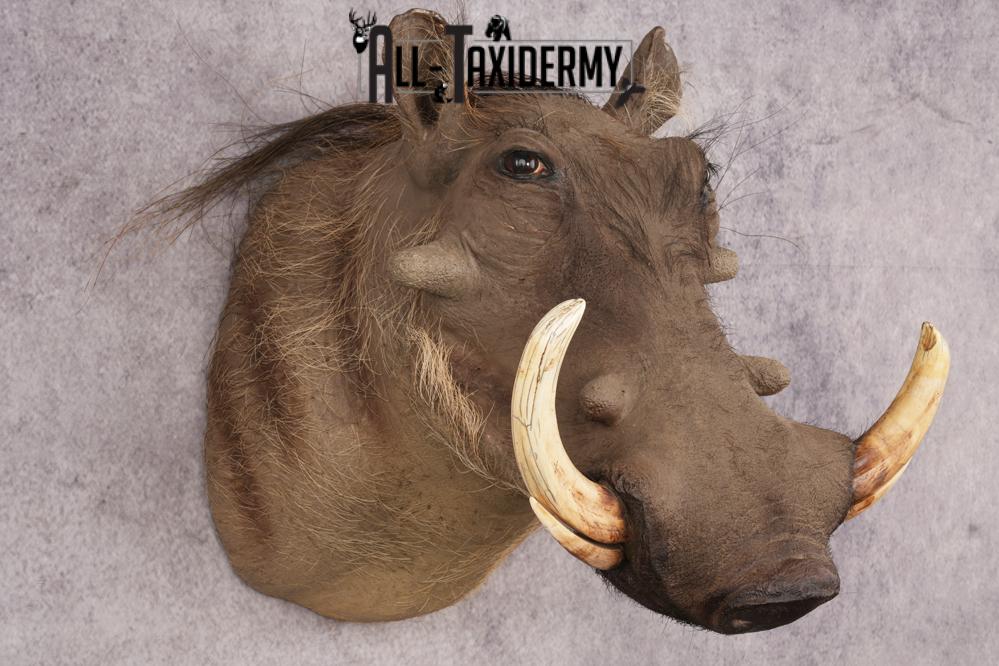 Warthog SKU 3256 - Image 8