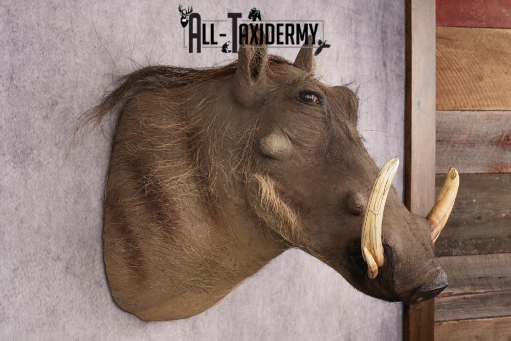 Warthog SKU 3256 - Image 7