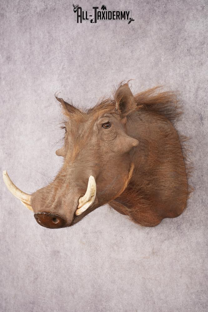 Warthog SKU 3255 - Image 8