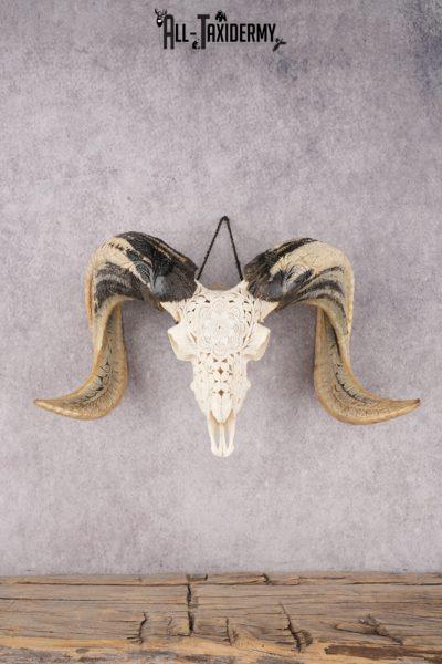 Carved Sheep Skull SKU 3300