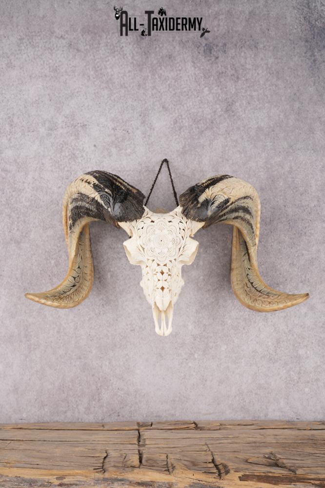 Carved Sheep Skull SKU 3300