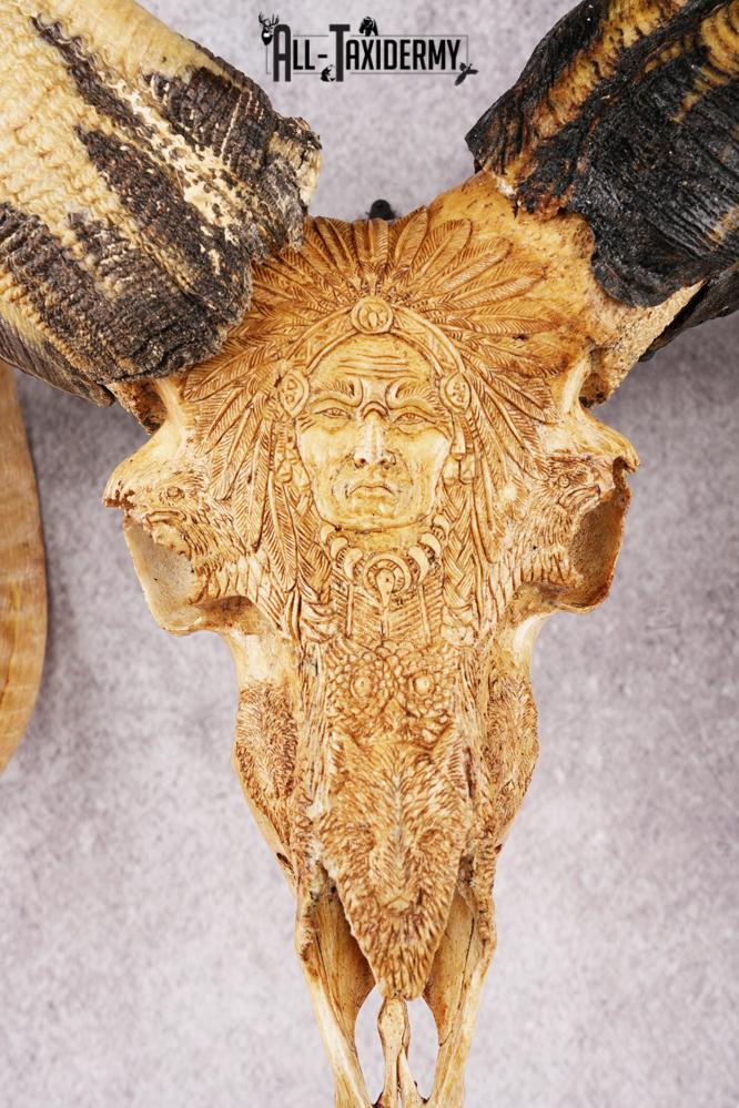 Carved Sheep Skull SKU 3299 - Image 2