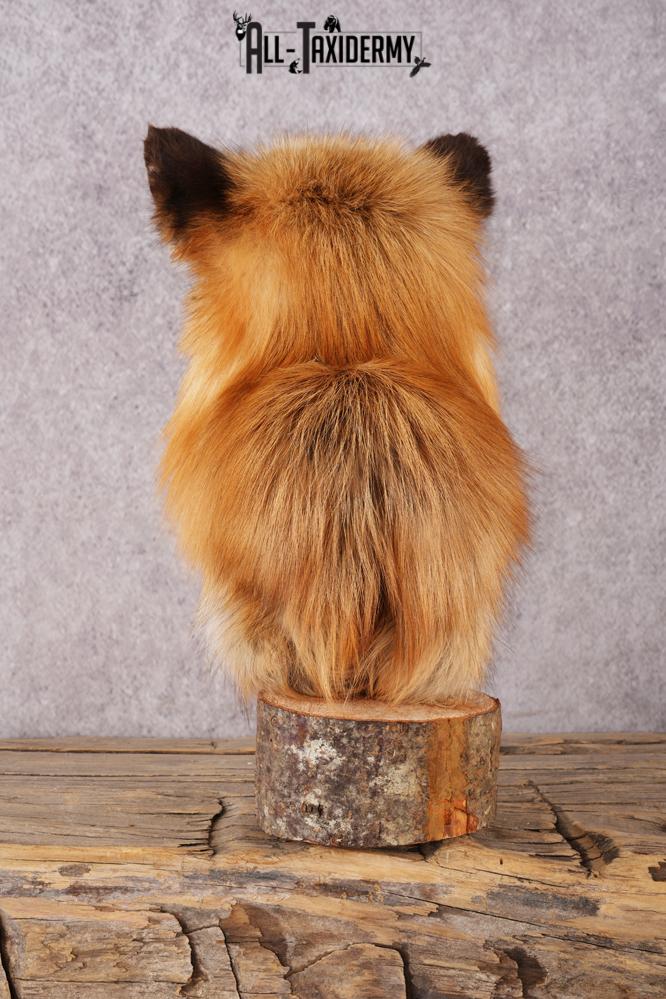 Red Fox Bust SKU 3302 - Image 3