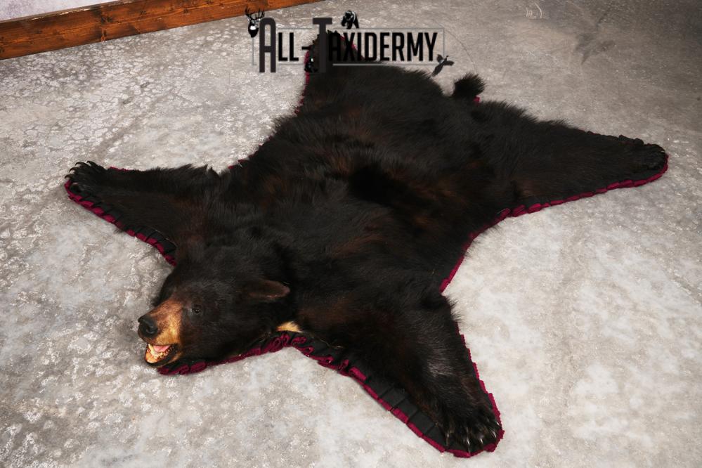 Black Bear Rug SKU 3291 - Image 4