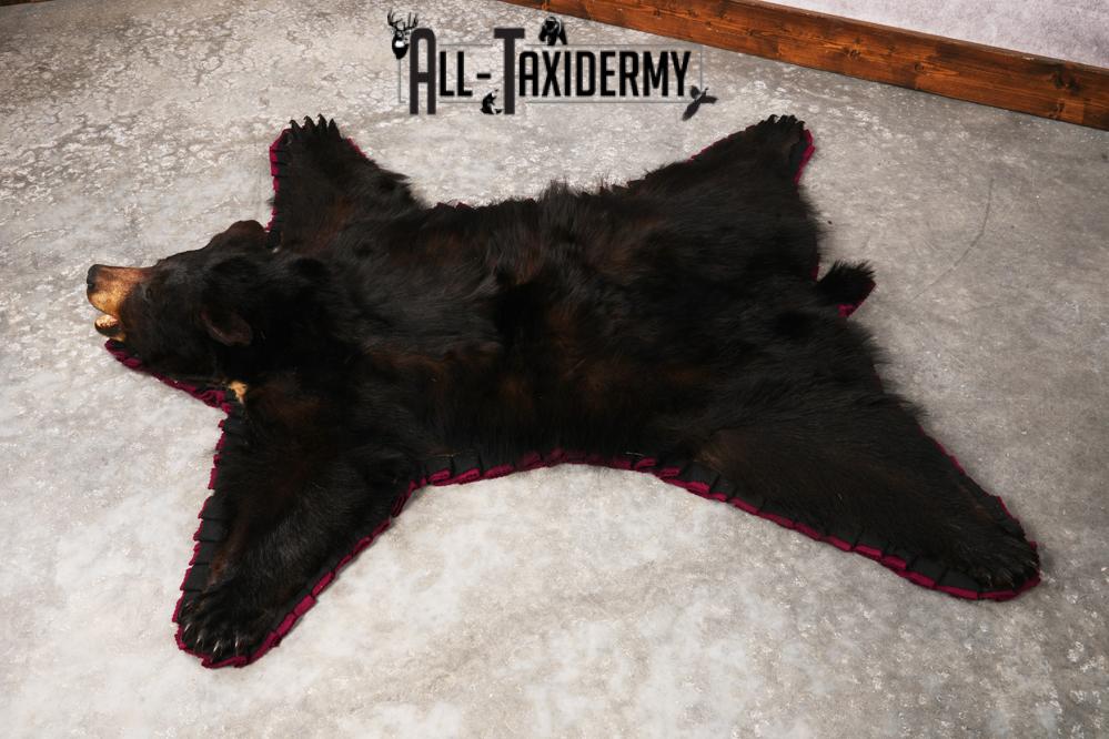 Black Bear Rug SKU 3291 - Image 3