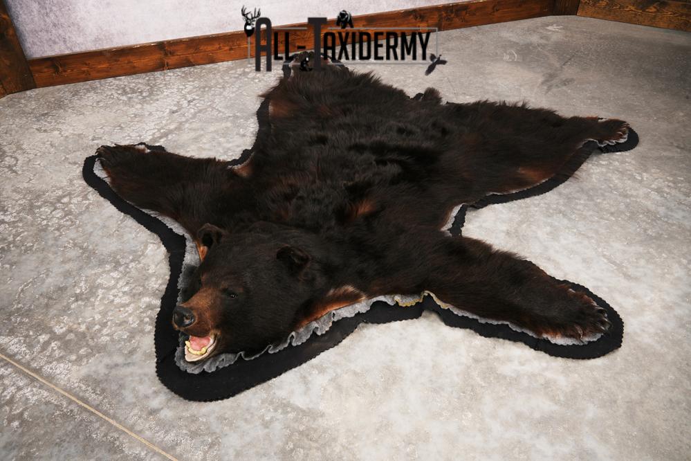 Black Bear Rug SKU 3289 - Image 7