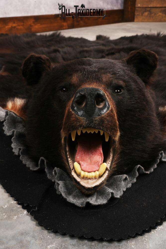 Black Bear Rug SKU 3289 - Image 5