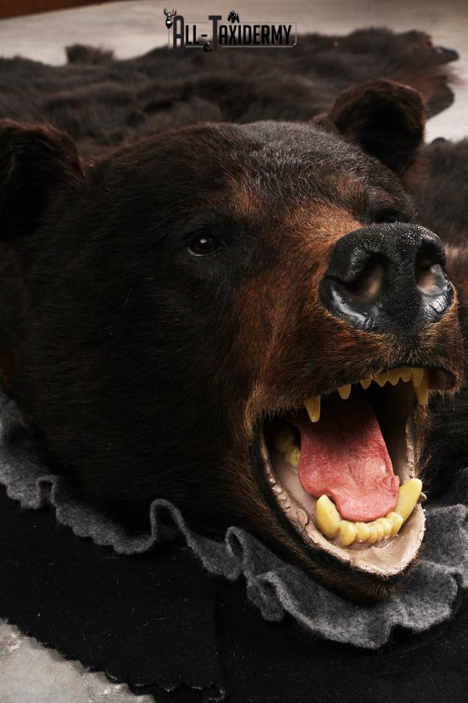 Black Bear Rug SKU 3289 - Image 3