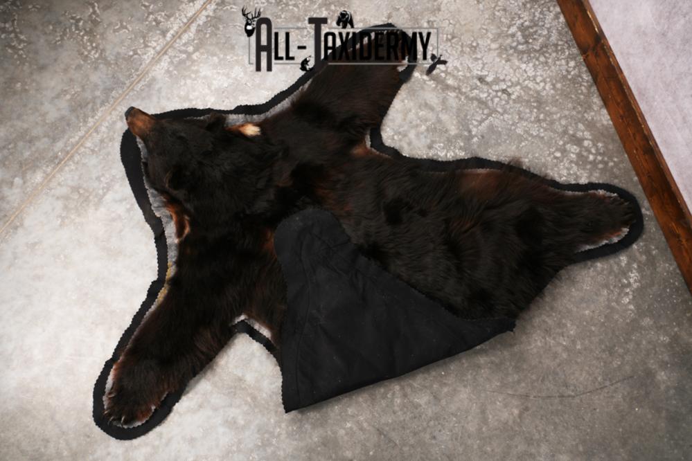 Black Bear Rug SKU 3289 - Image 2