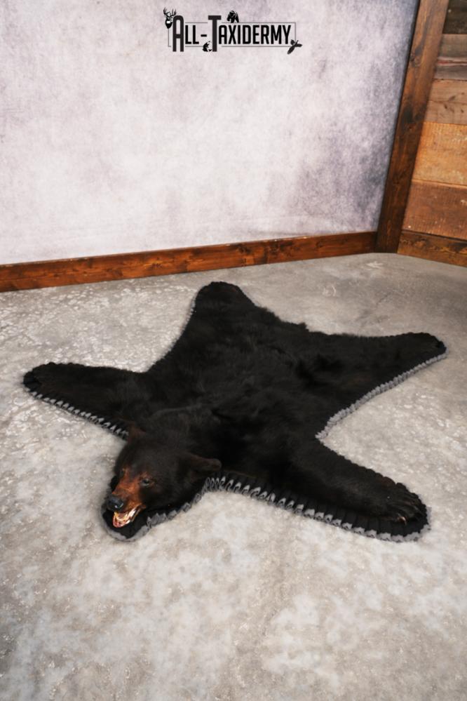 Black Bear Rug SKU 3290