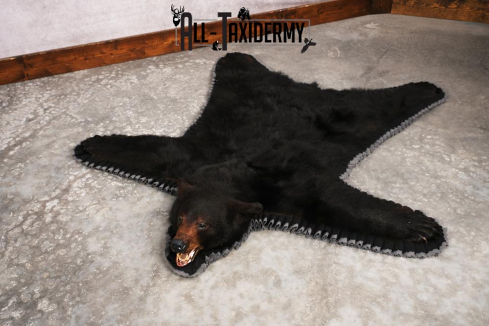 Black Bear Rug SKU 3290 - Image 7