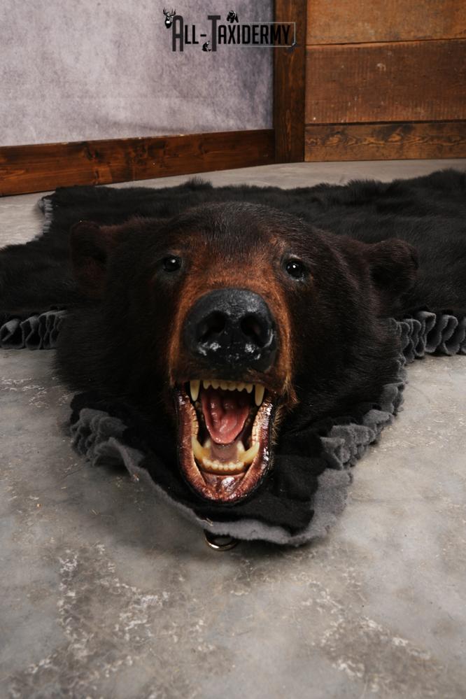 Black Bear Rug SKU 3290 - Image 5