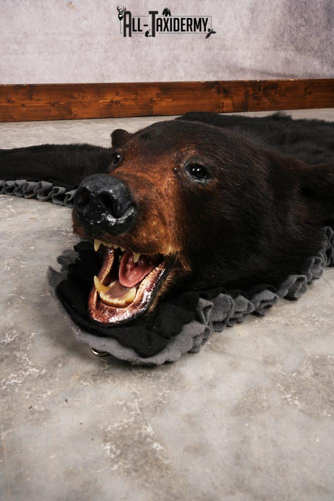 Black Bear Rug SKU 3290 - Image 4