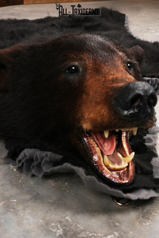 Black Bear Rug SKU 3290 - Image 3