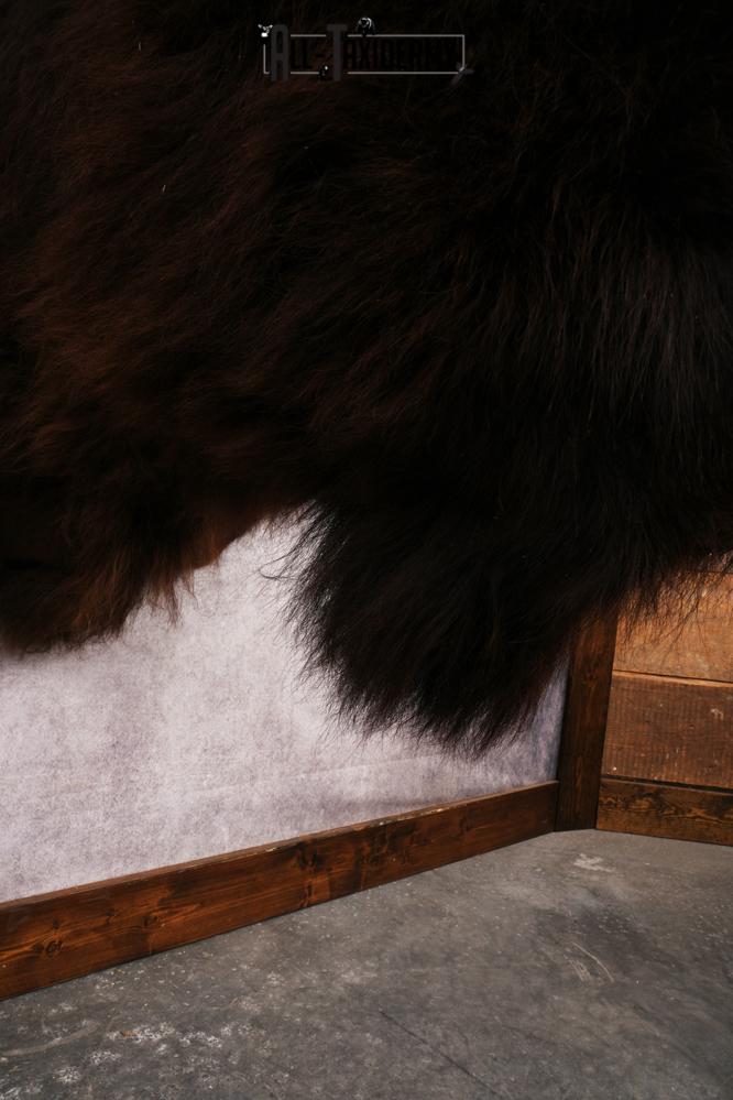 Wyoming Wild Bison SKU 3230 - Image 4