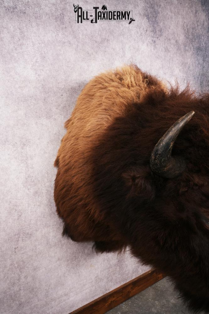 Wyoming Wild Bison SKU 3230 - Image 3