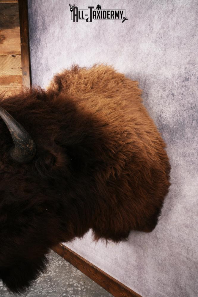 Wyoming Wild Bison SKU 3230 - Image 2